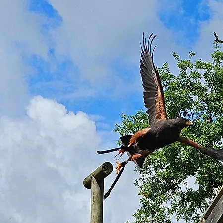 아파트 La Maison Valentin Au Coeur De La Cite Medievale *