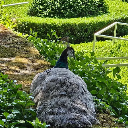 La Maison Valentin Au Coeur De La Cite Medievale *