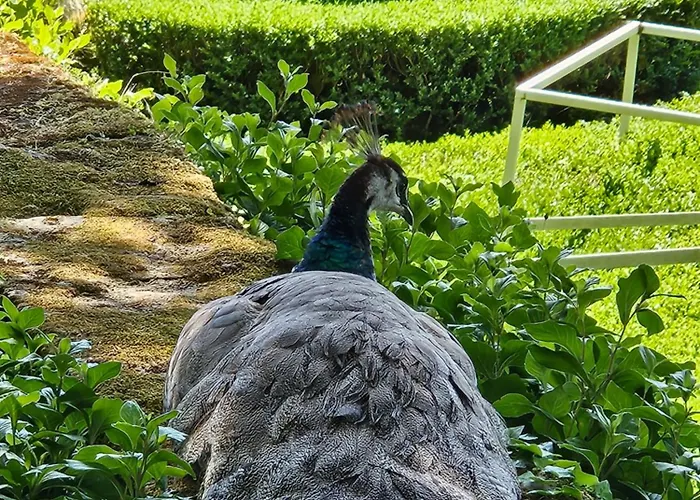 La Maison Valentin Au Coeur De La Cite Medievale *