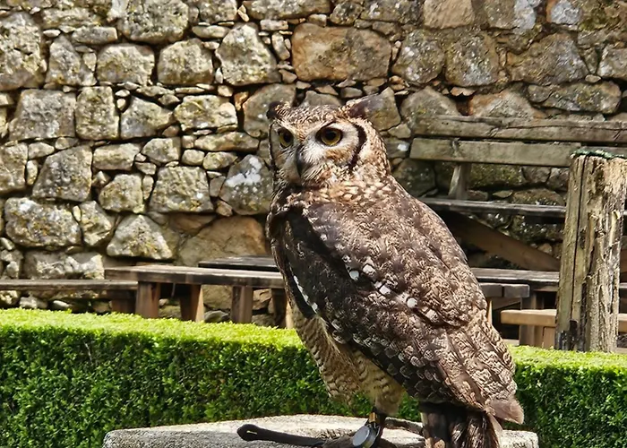 La Maison Valentin Au Coeur De La Cite Medievale