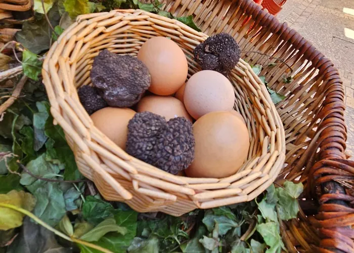 Appartement La Maison Valentin Au Coeur De La Cite Medievale *